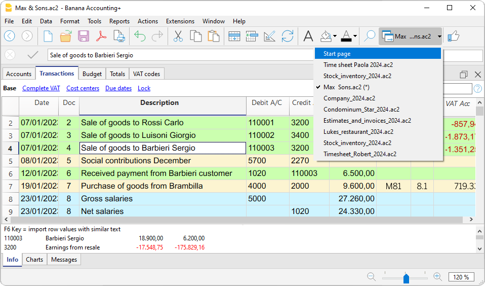 Multiple file in Banana Accounting