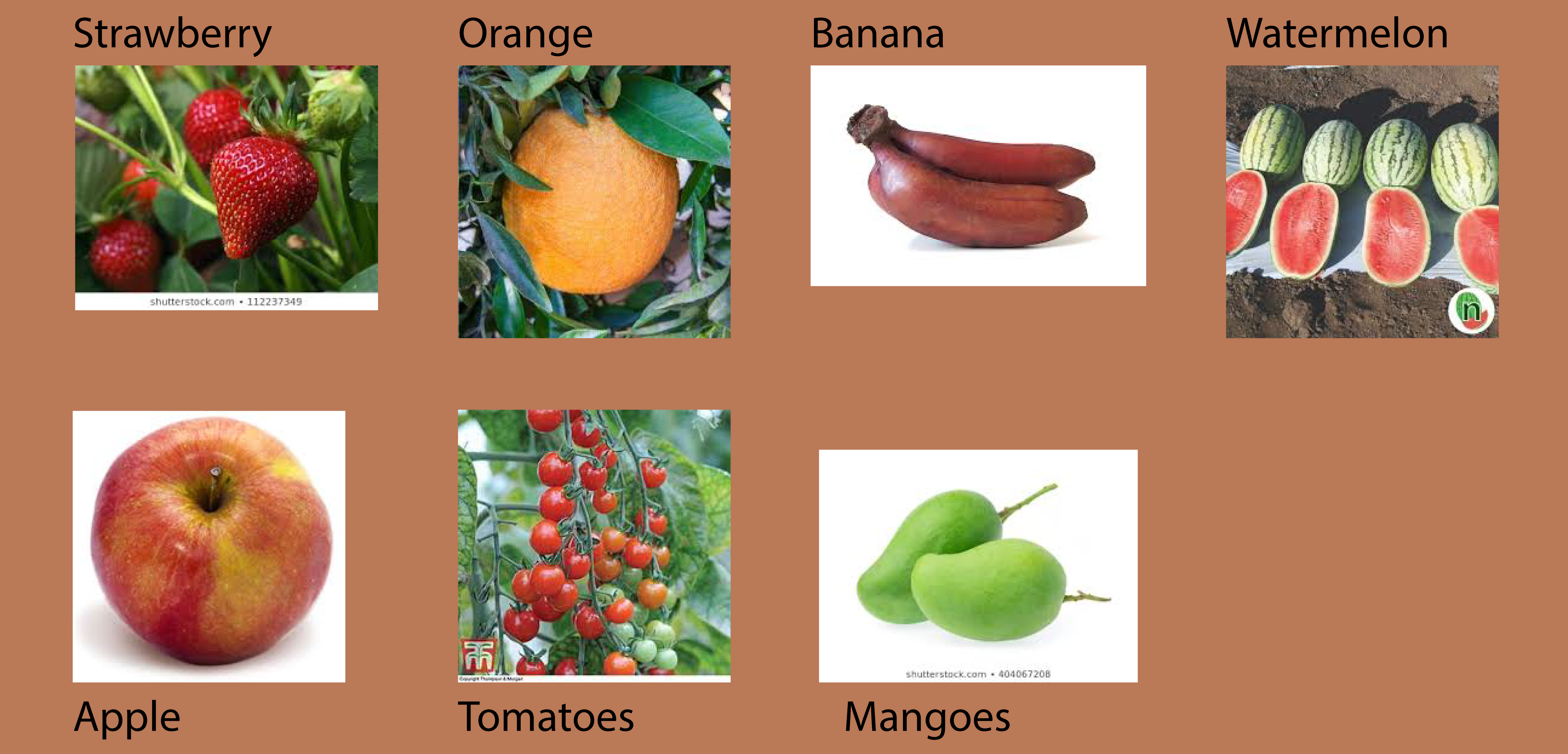 fruits-classes