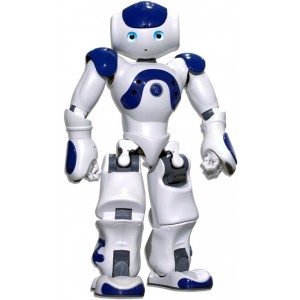 GitHub - BatyaGG/Trained-by-Demonstration-NAO-Robot-Controlled-via-a ...