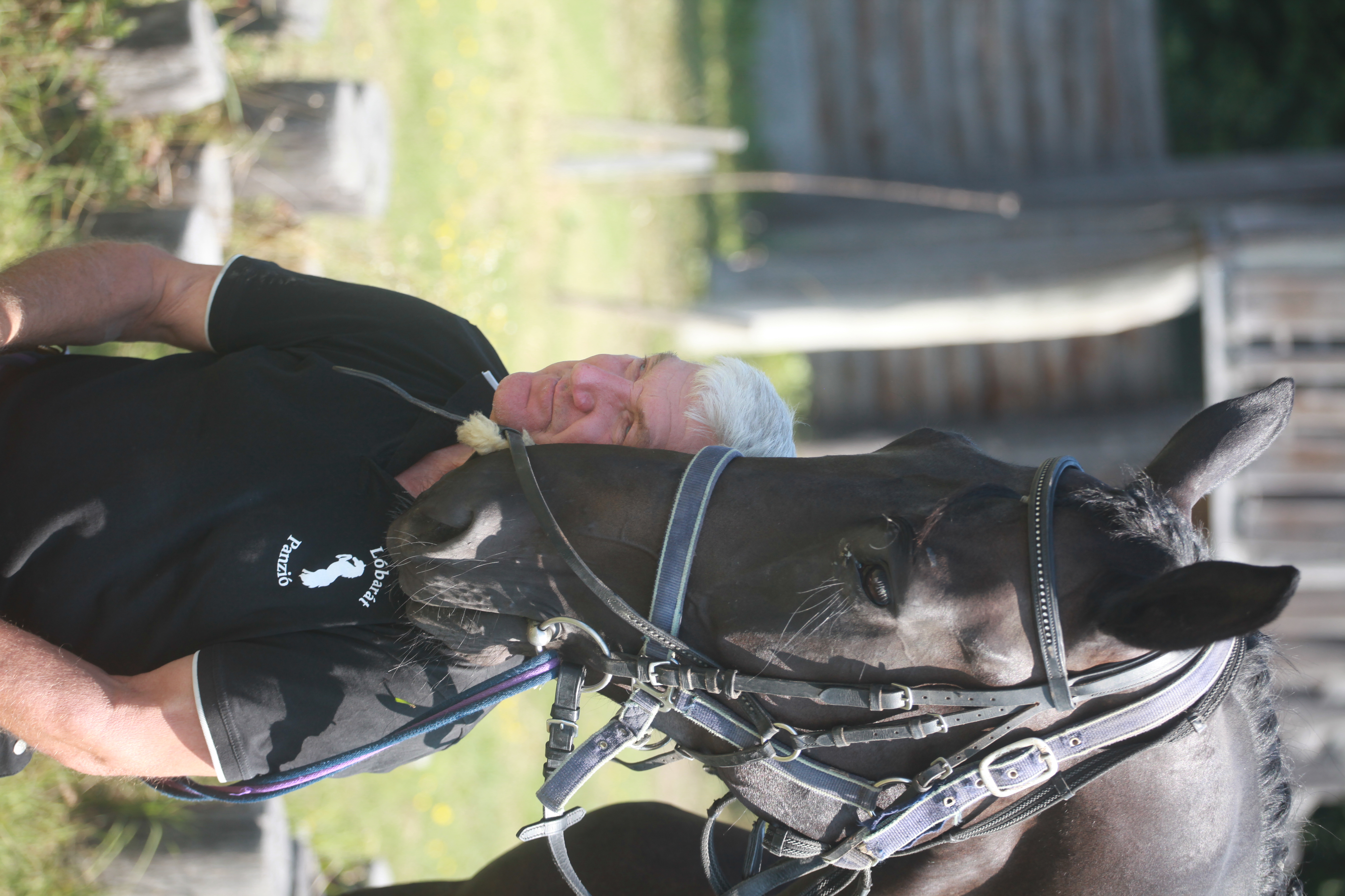 Lóbarát Lovasudvar panzió