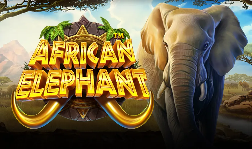 African Elephant