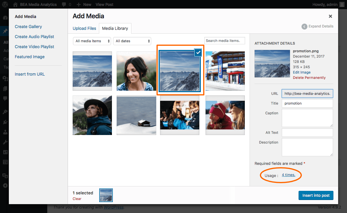 Media library modal view