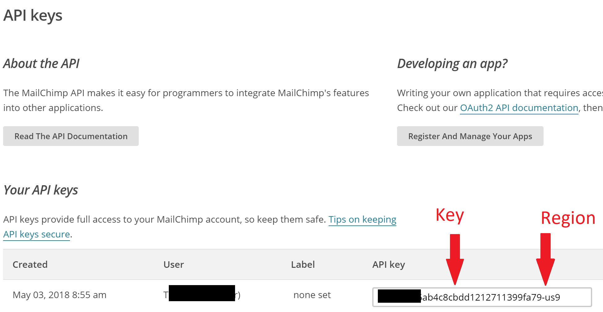 Mailchimp api key 2