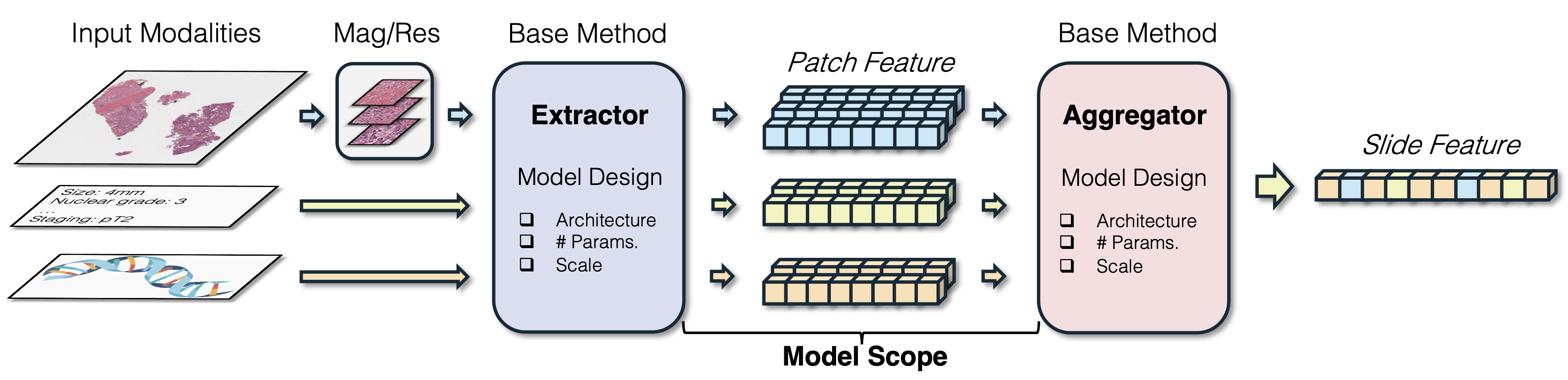 Hierarchical taxonomy integrated within MIL framework for Pathology Foundation Models
