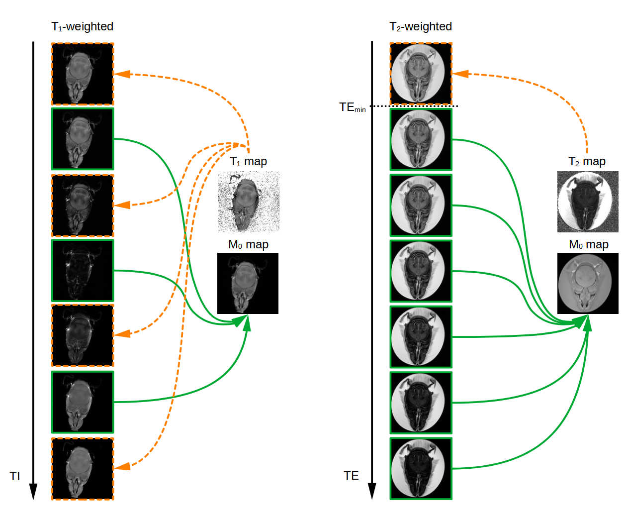 Graphical abstract