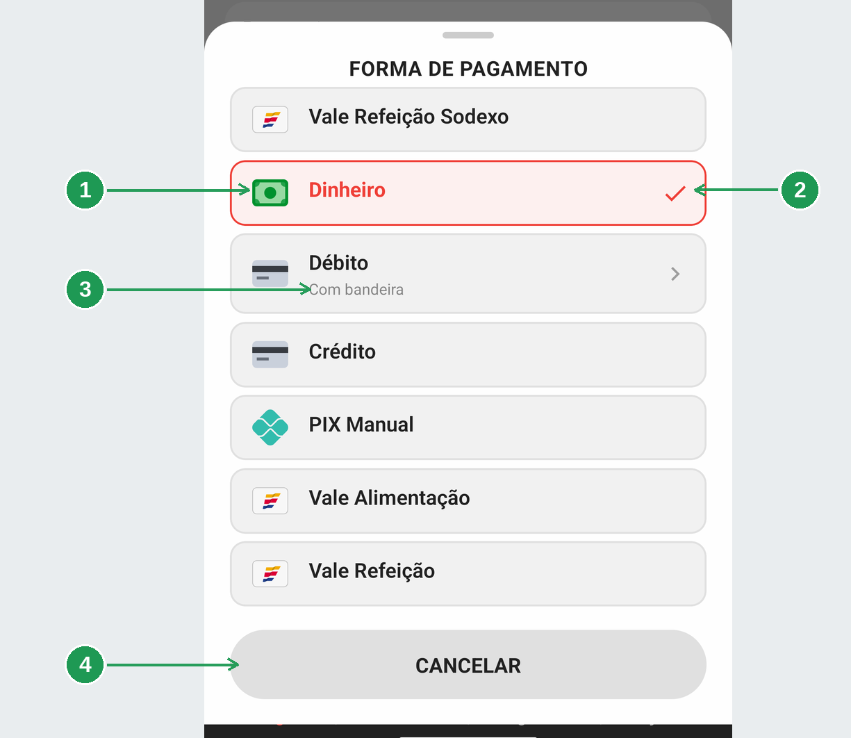 A lista de formas de pagamento com a forma prevista já marcada
