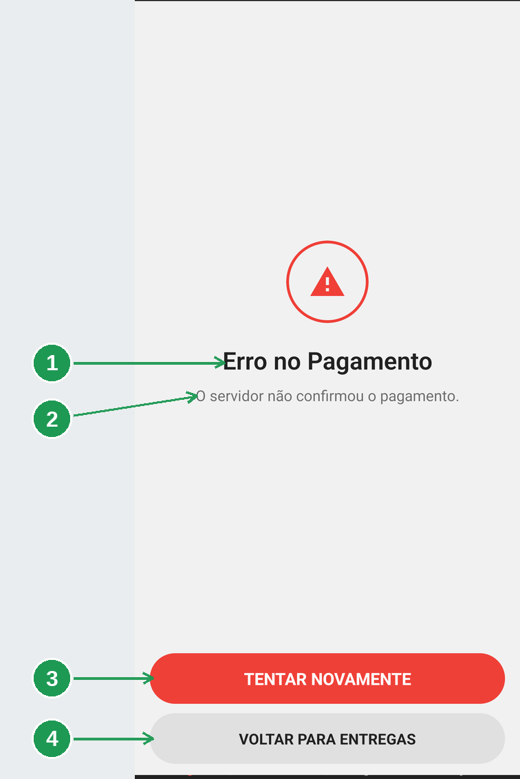 A tela de erro no pagamento com as opções de tentar novamente e voltar para entregas