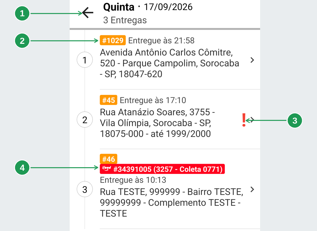 Dia expandido no histórico mostrando as entregas concluídas