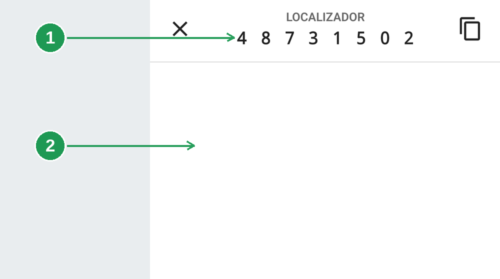 Tela do app entregador com a área do site da plataforma em branco por falta de sinal
