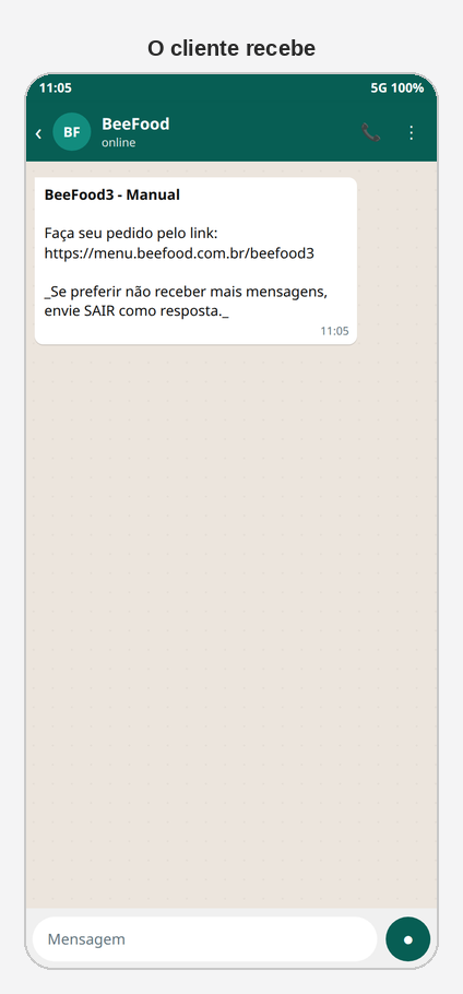 Campanha recebida no WhatsApp