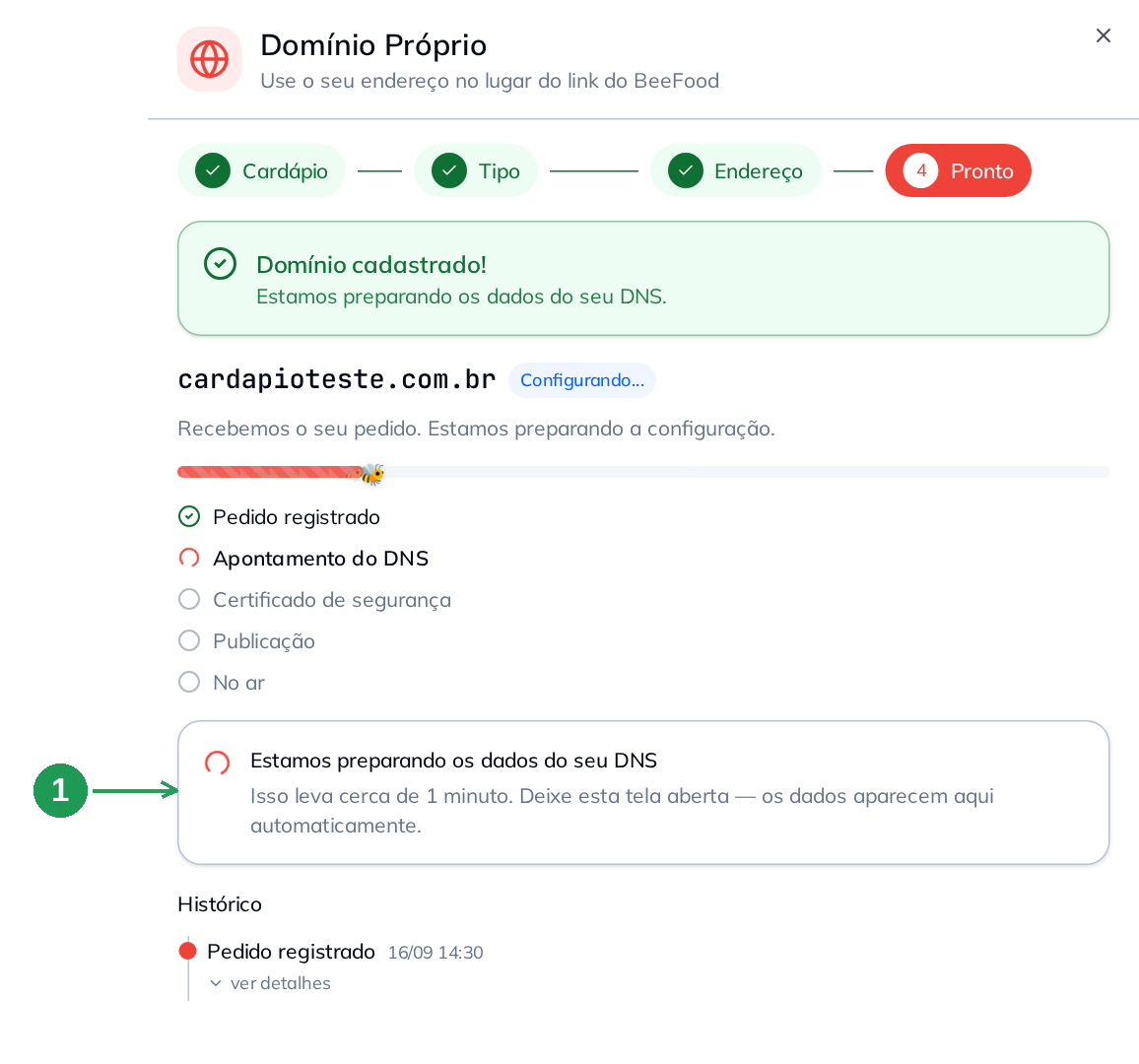 Domínio cadastrado, preparando os dados do DNS
