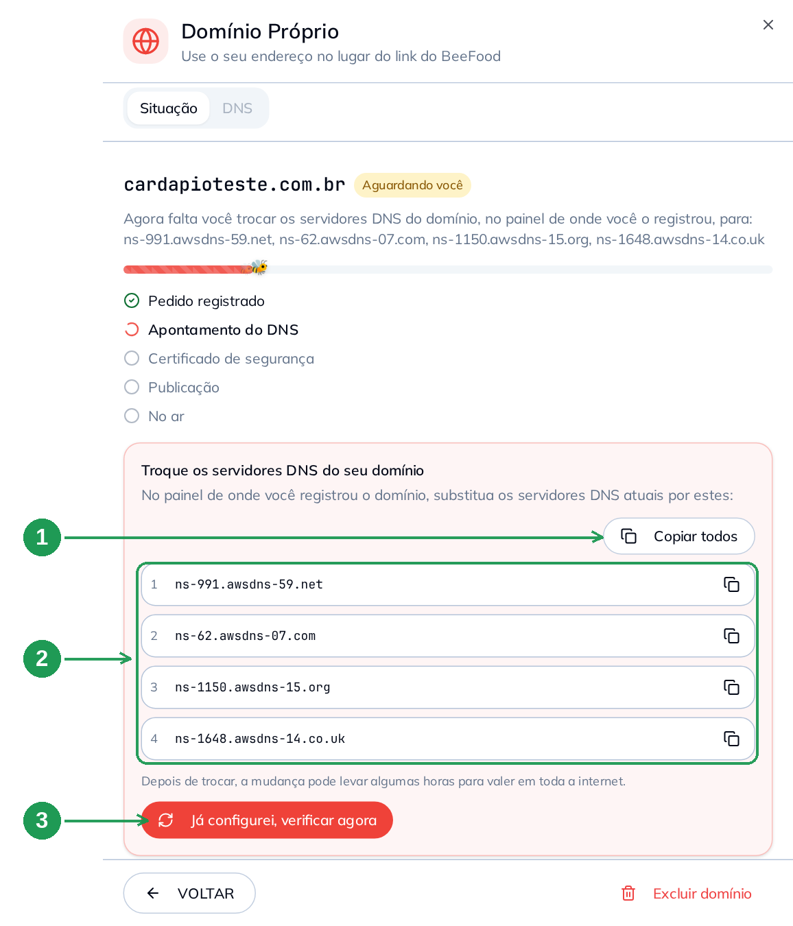 Os quatro servidores DNS para colar no registrador