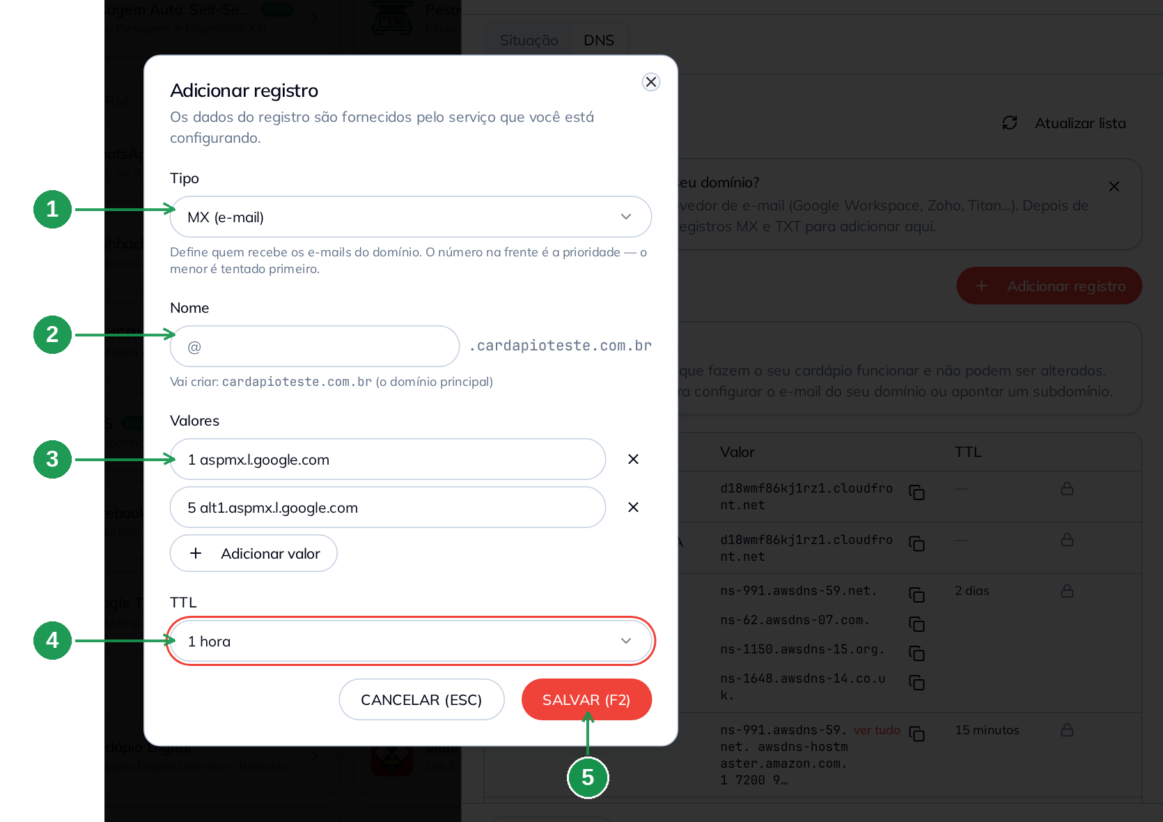 Formulário do registro DNS com Tipo, Nome, Valores, TTL e SALVAR