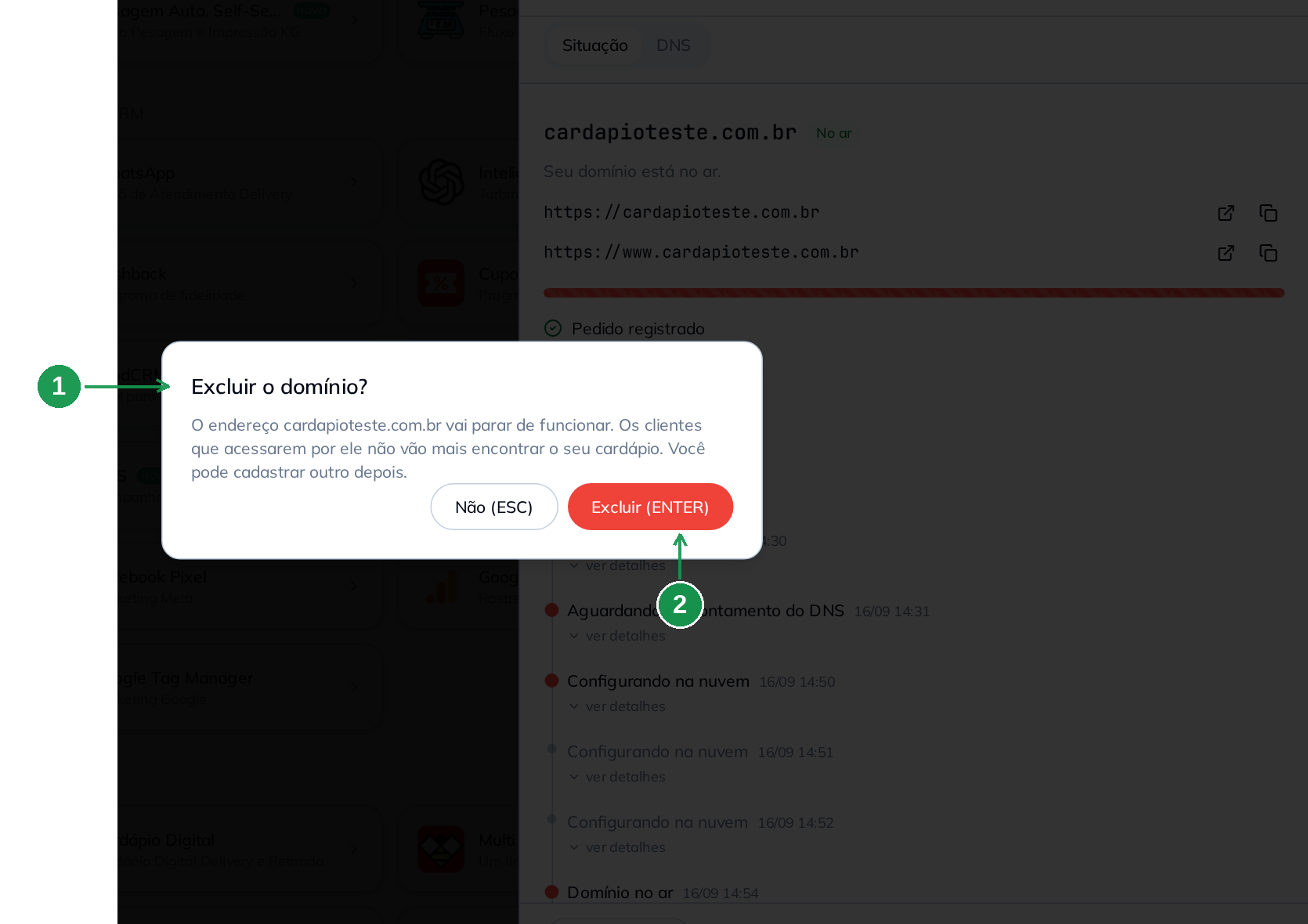 Confirmação da exclusão do domínio