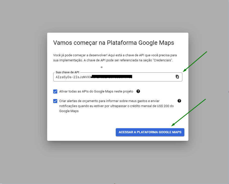 Tela de confirmação final do faturamento no Google