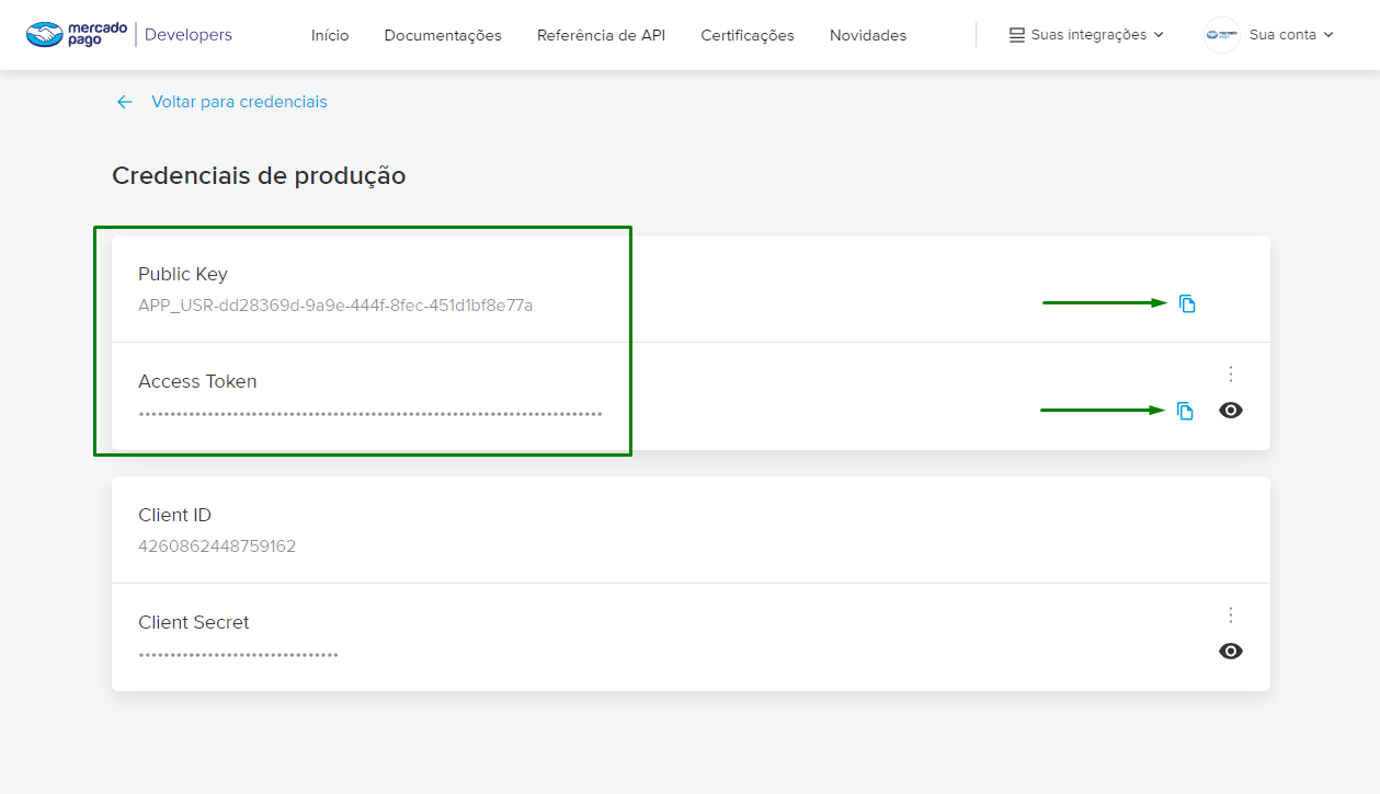 Tela de credenciais do Mercado Pago mostrando a Public Key e o Access Token