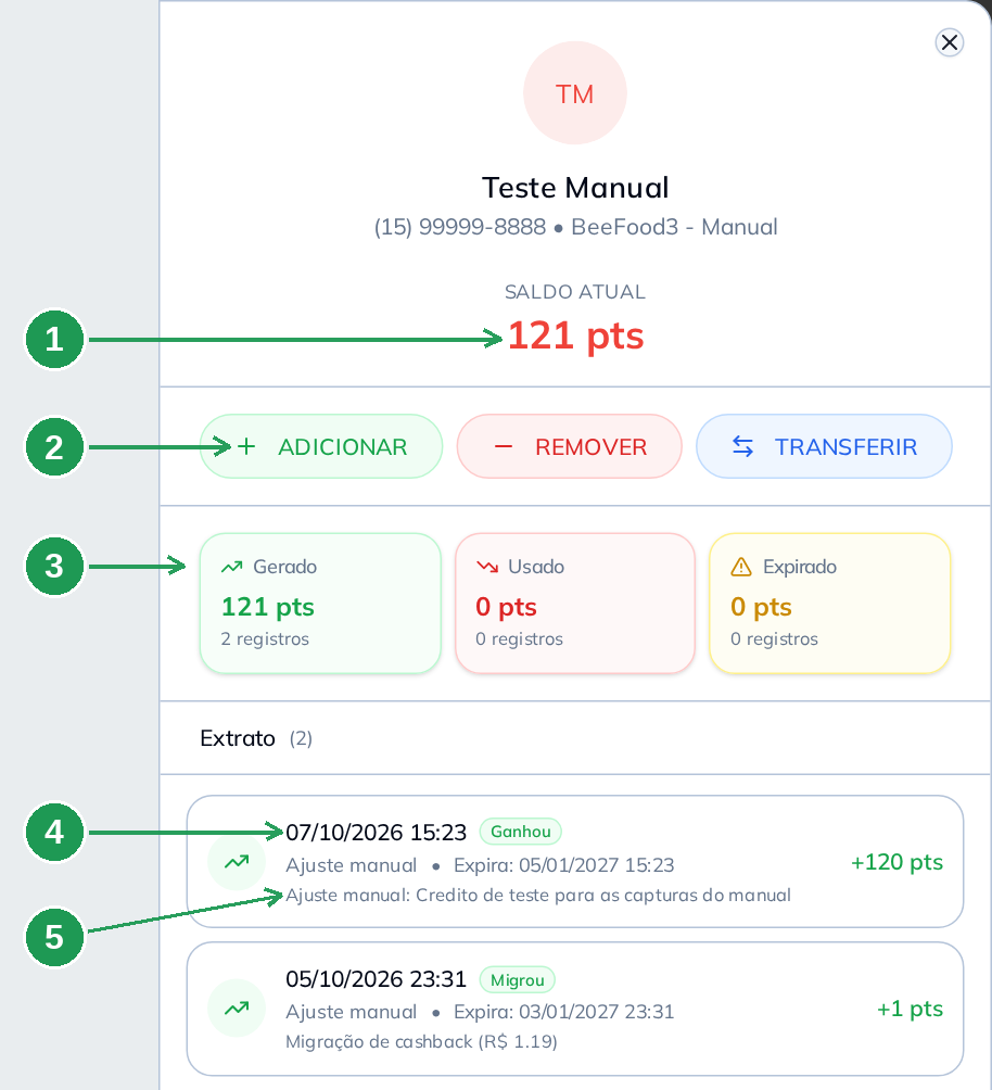O extrato de pontos de um cliente, no painel lateral