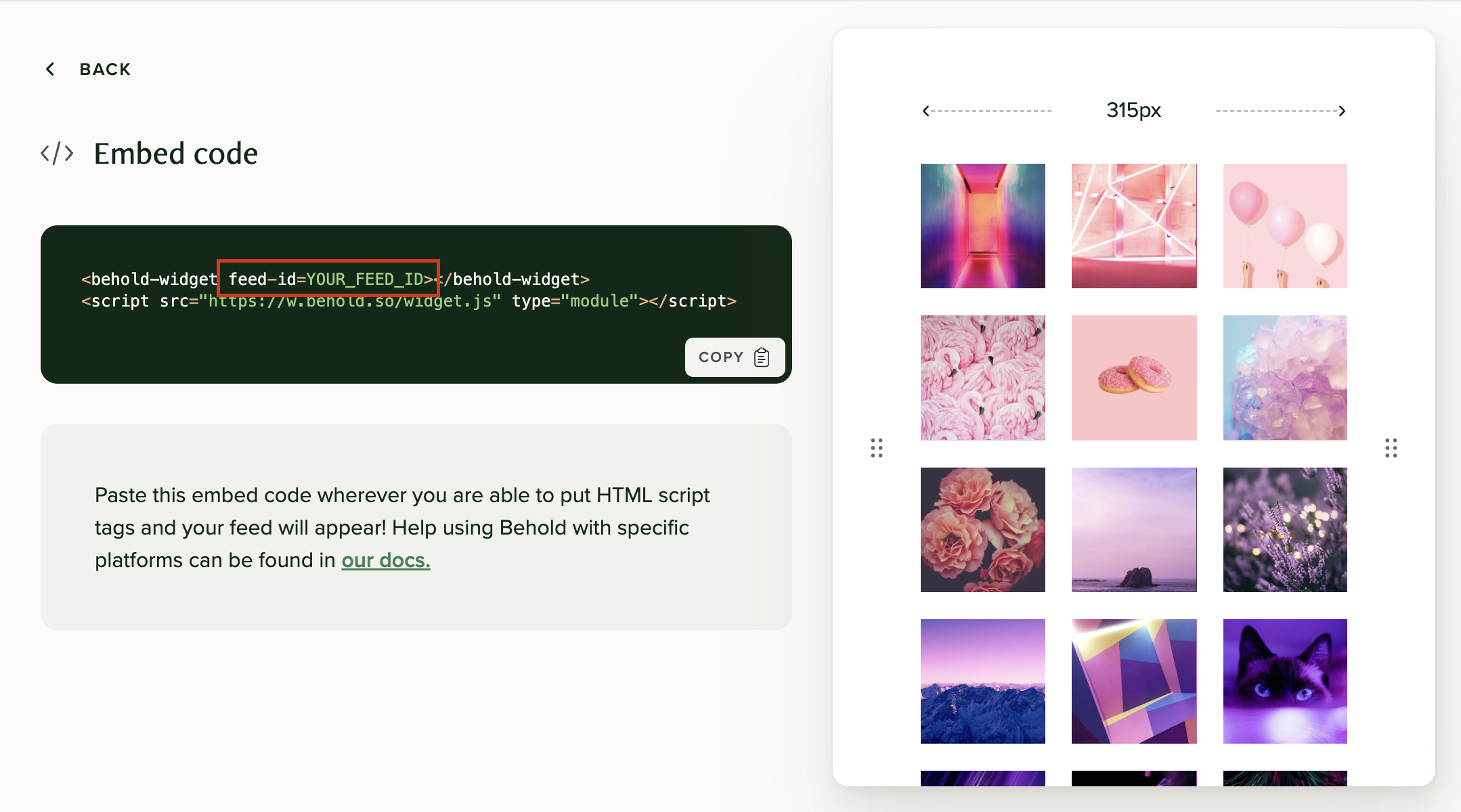 Behold feed embed code page