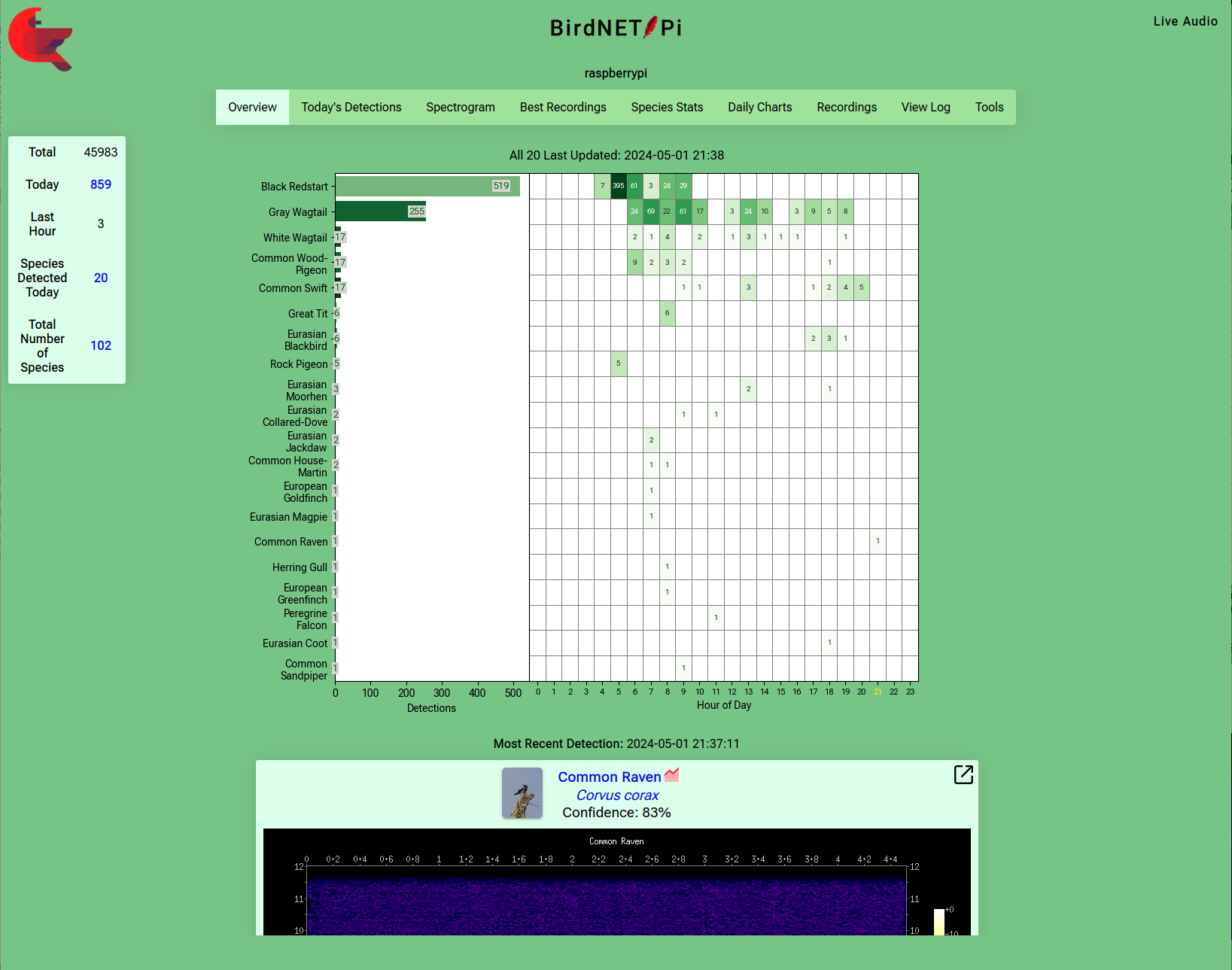 BirdNET-Pi overview dashboard