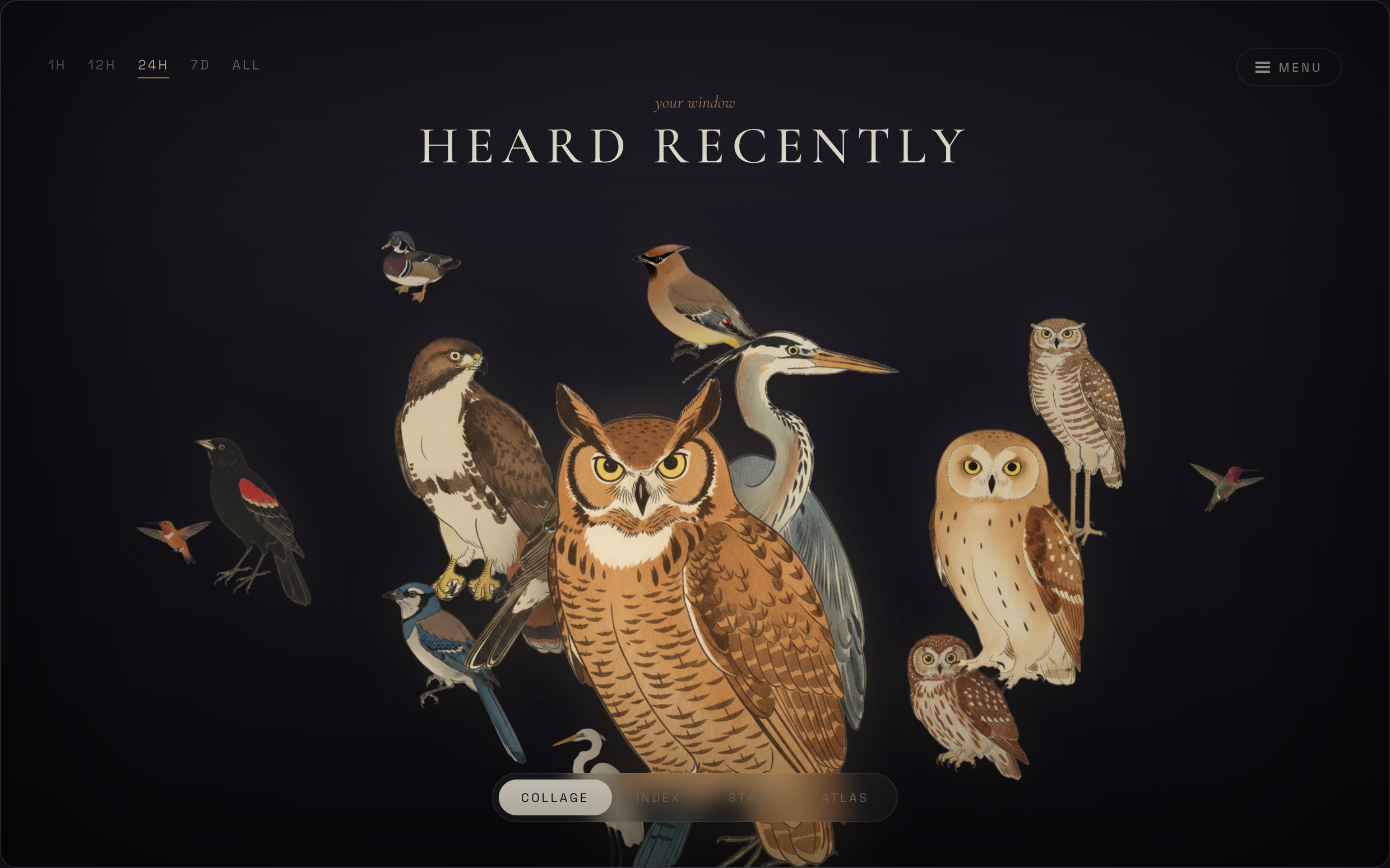 Belkins BirdNET — the Living Gallery (nocturne theme)
