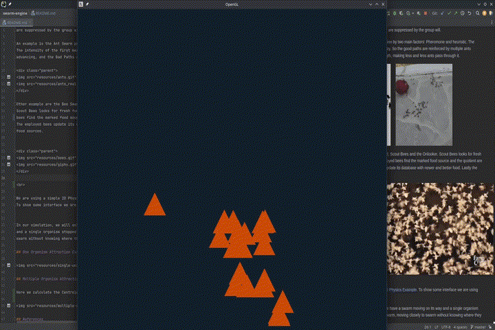 Multiple Organism Attraction in Y Axis