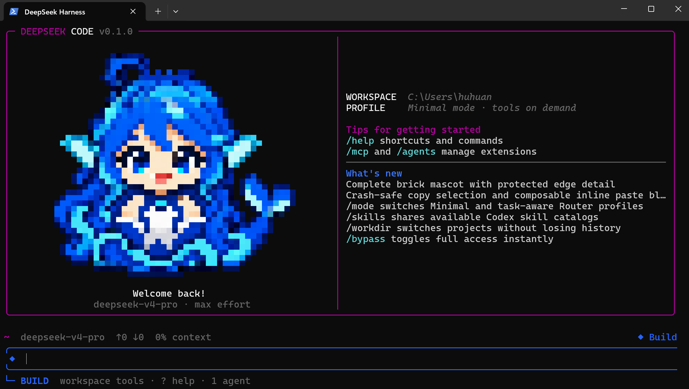 DeepSeek Code TUI preview