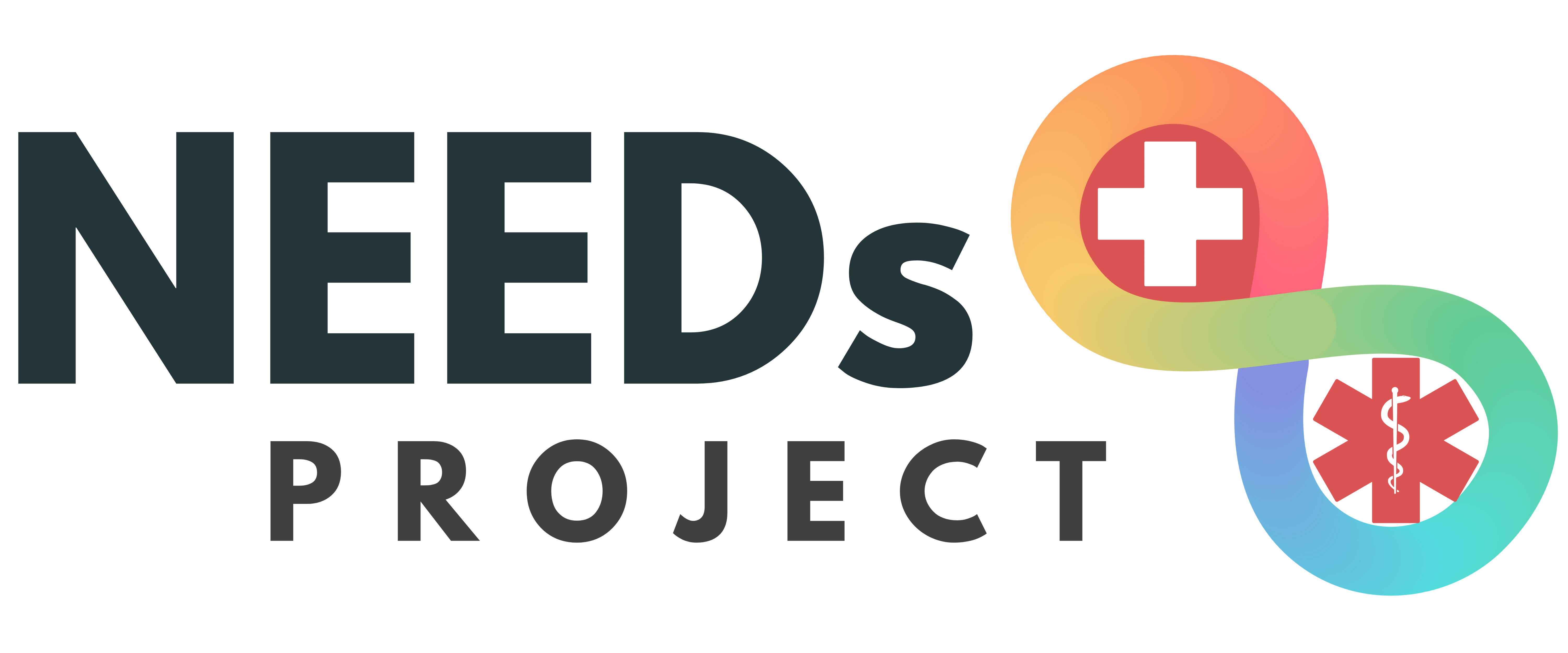 NEEDs Project logo