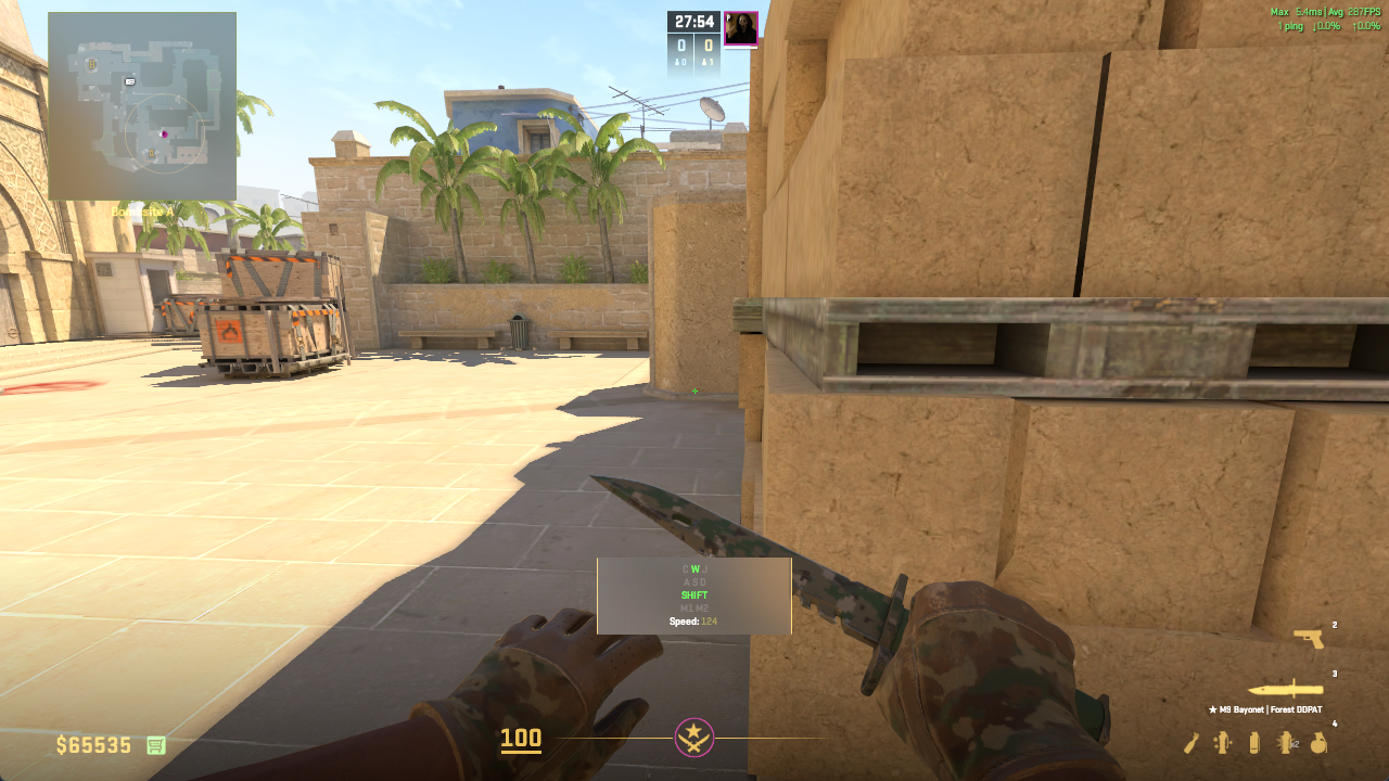 WASD Overlay with all settings enabled