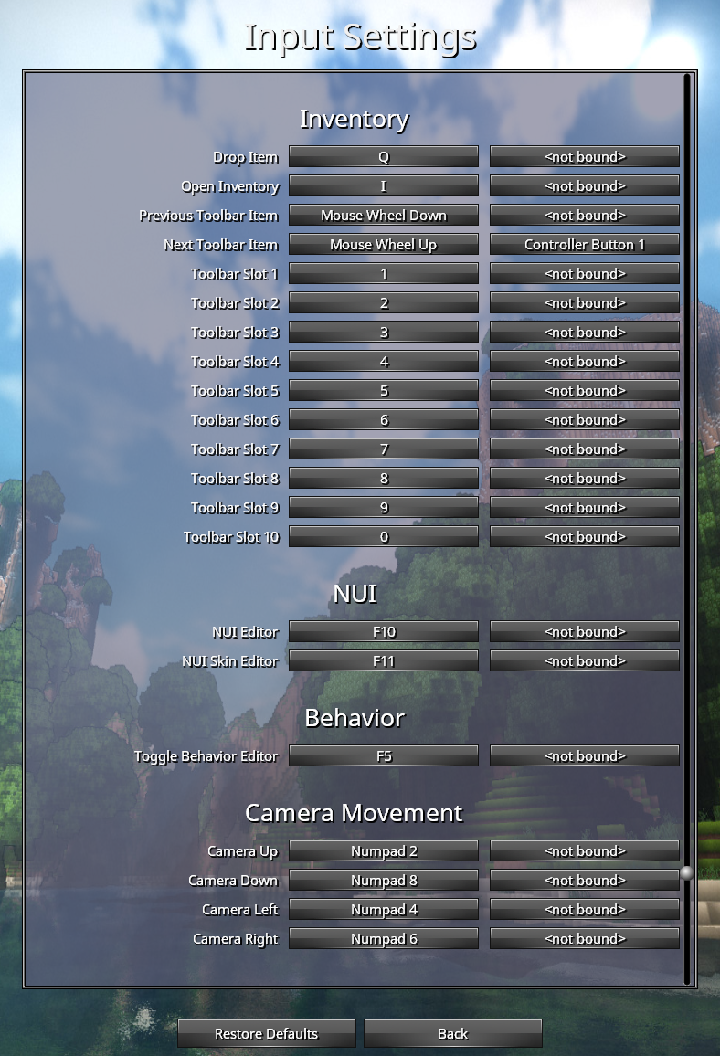 An image showing the in-game "Input Settings" screen. At the bottom of the image are four rows of two buttons that allow the player to select which keys control the camera.