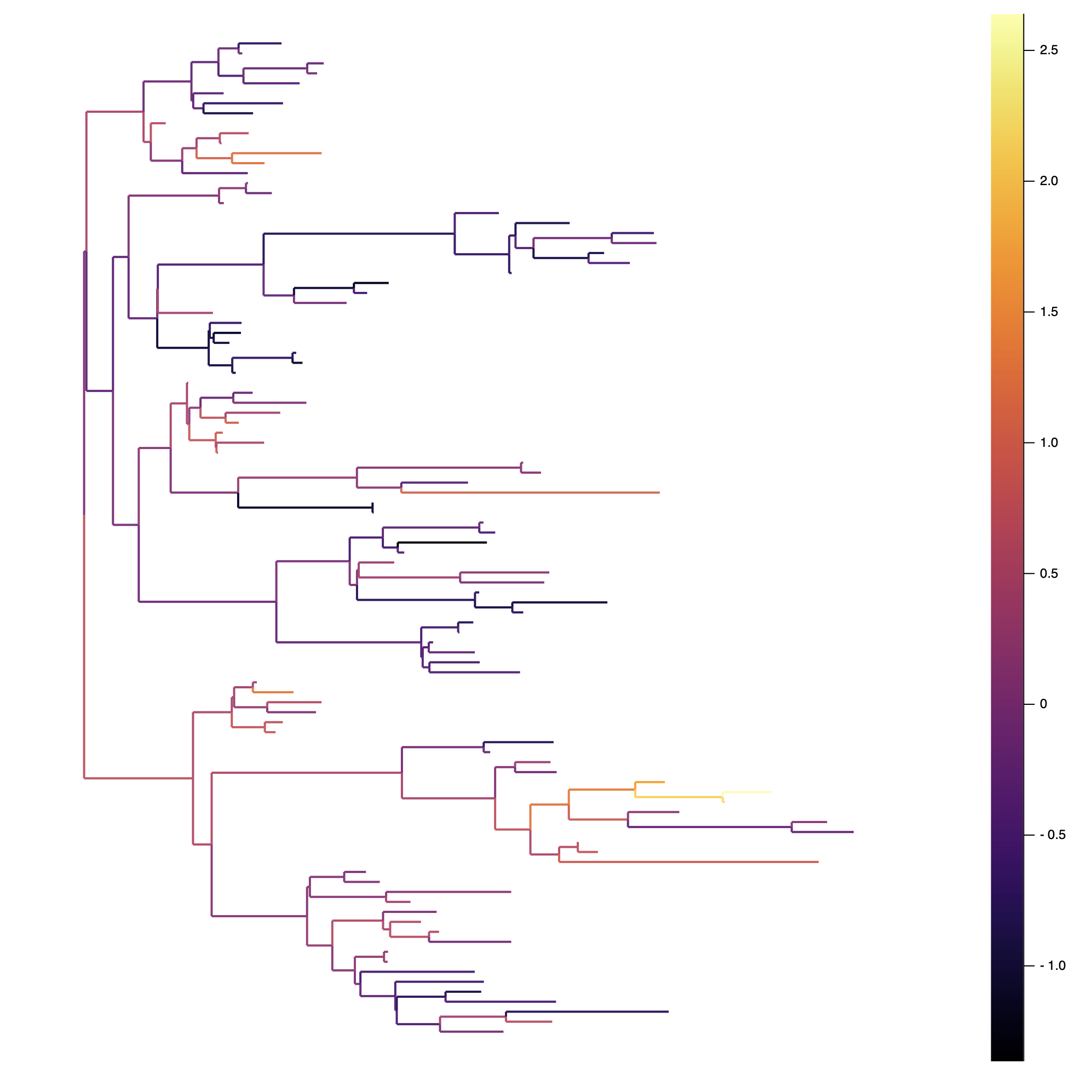 Continuous trait tree plot