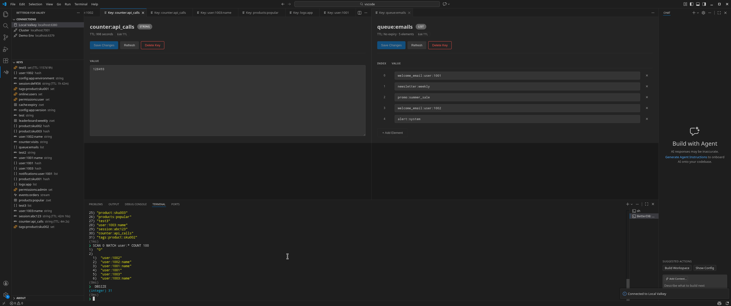 screenshot of editing Valkey values in VSCode