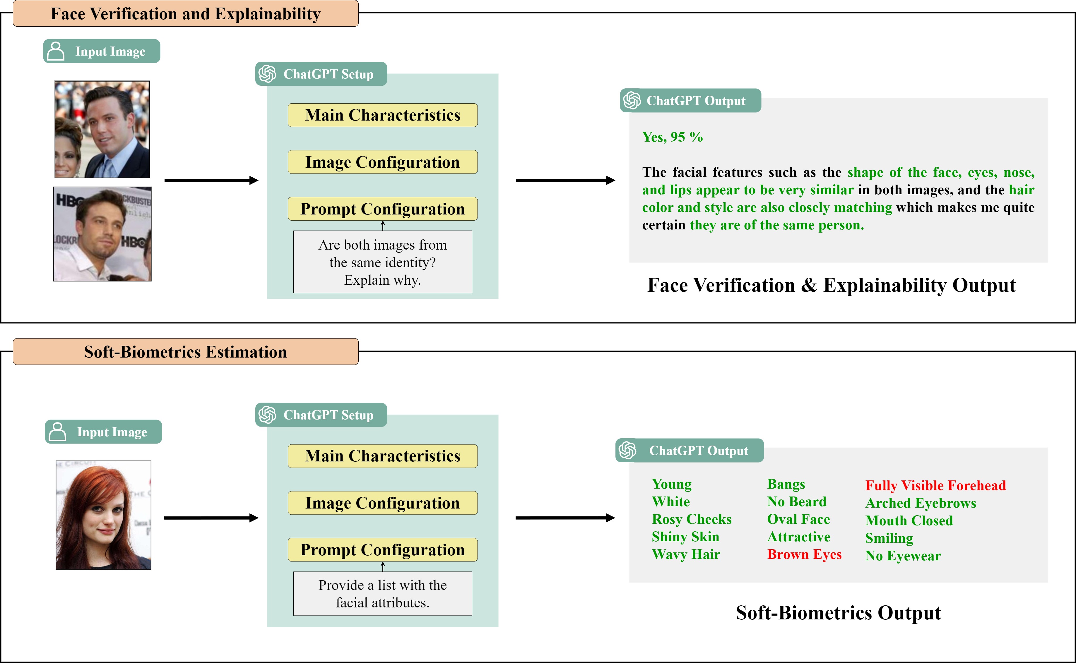 Graphical Abstract