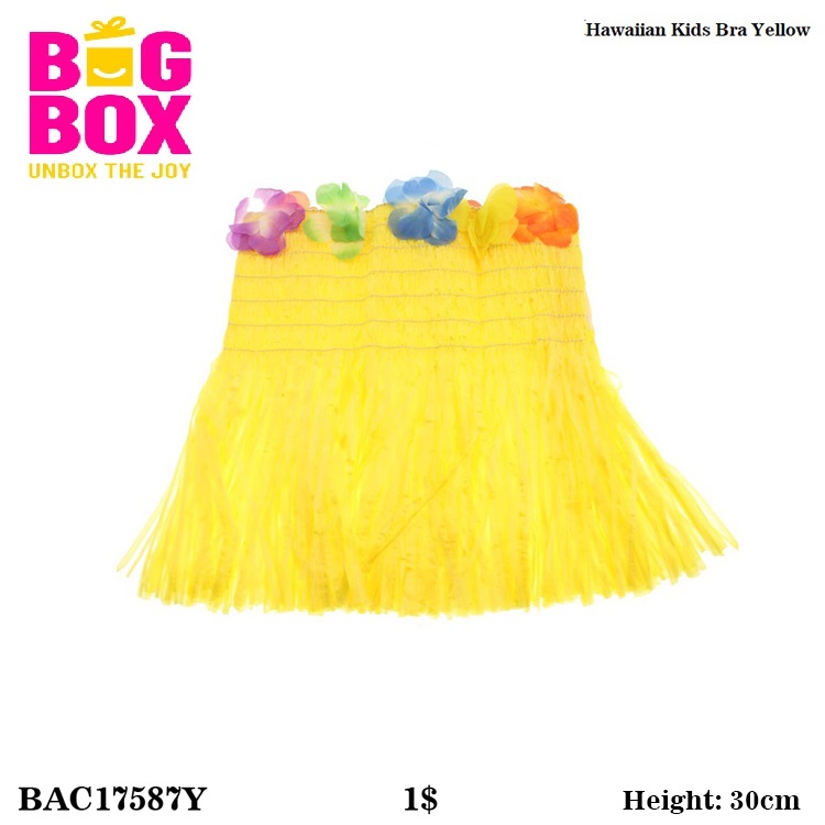 Hawaii Bra BAC17587Y
