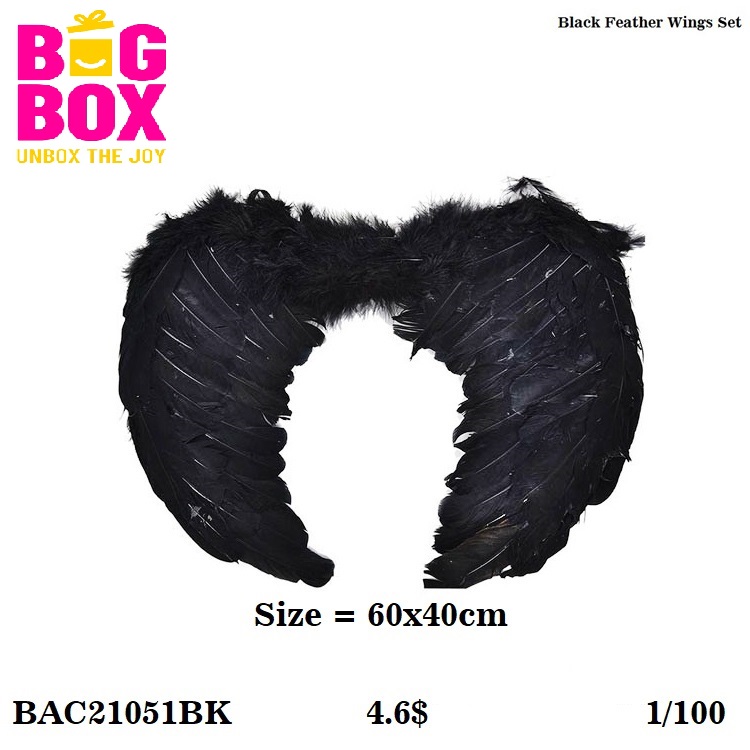 Wings Set BAC21051BK