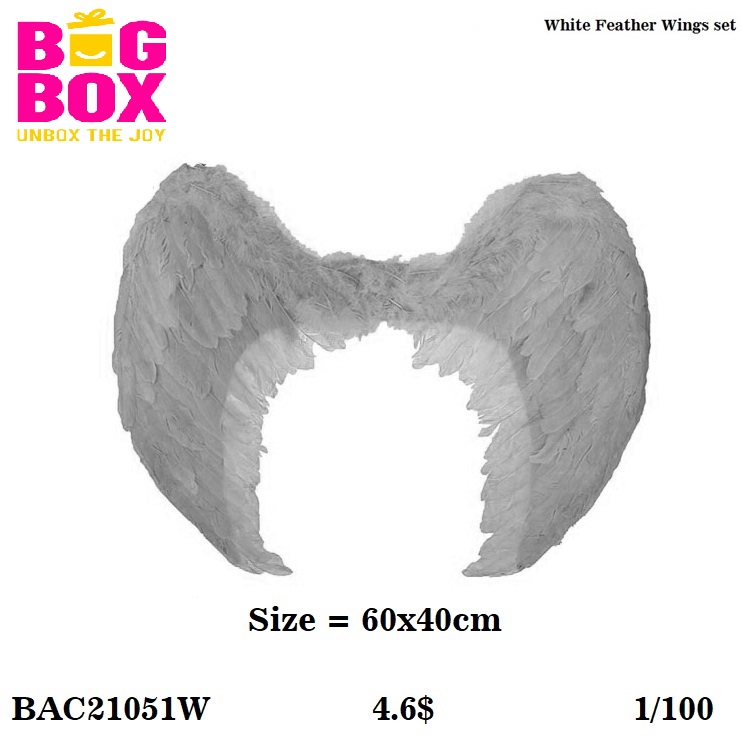 Wings Set BAC21051W