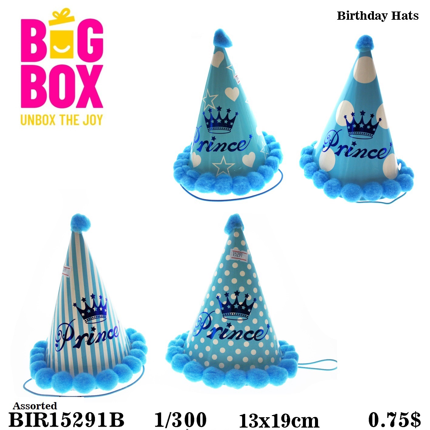 Hats BIR15291B