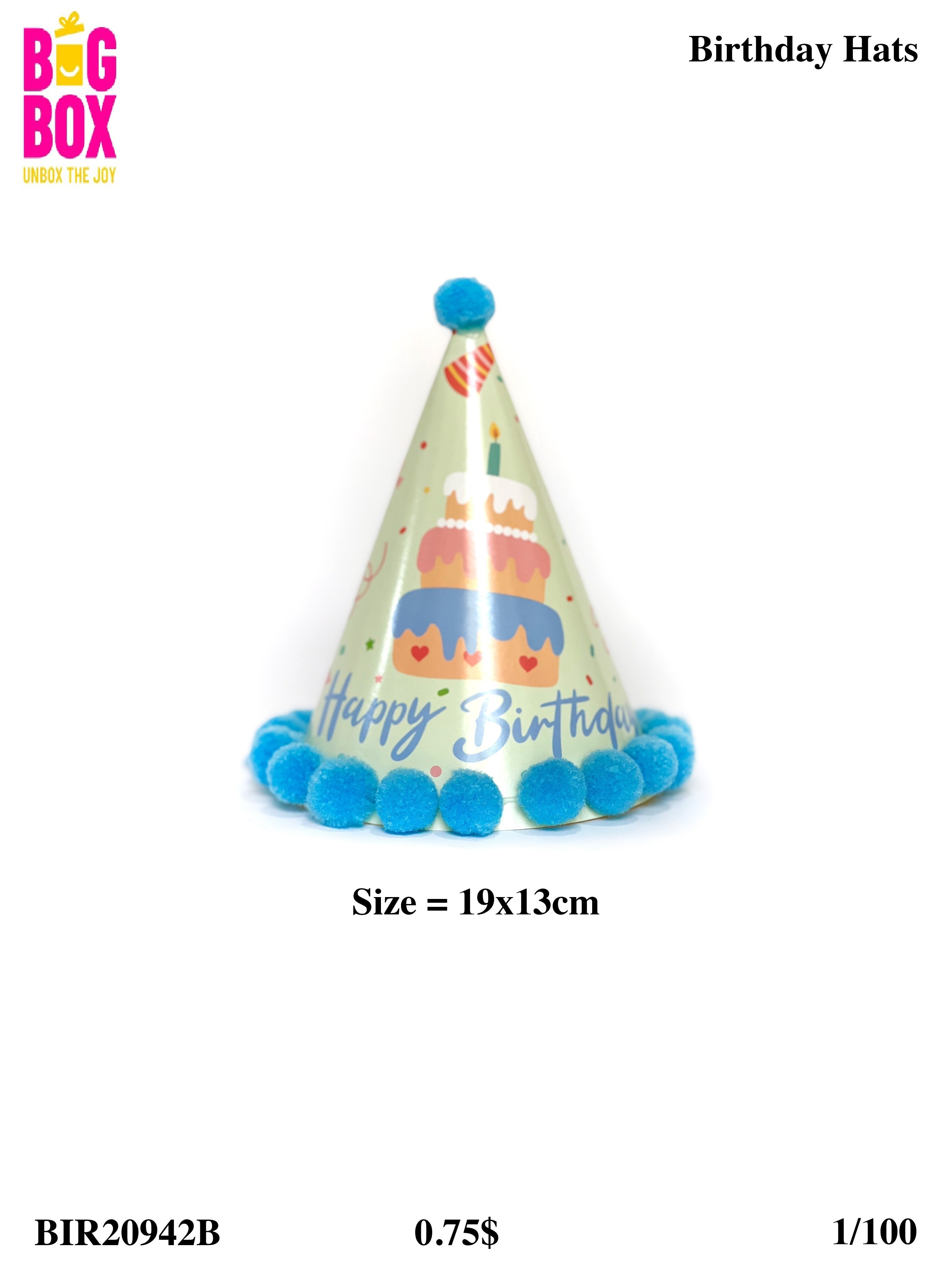 Hats BIR20942B