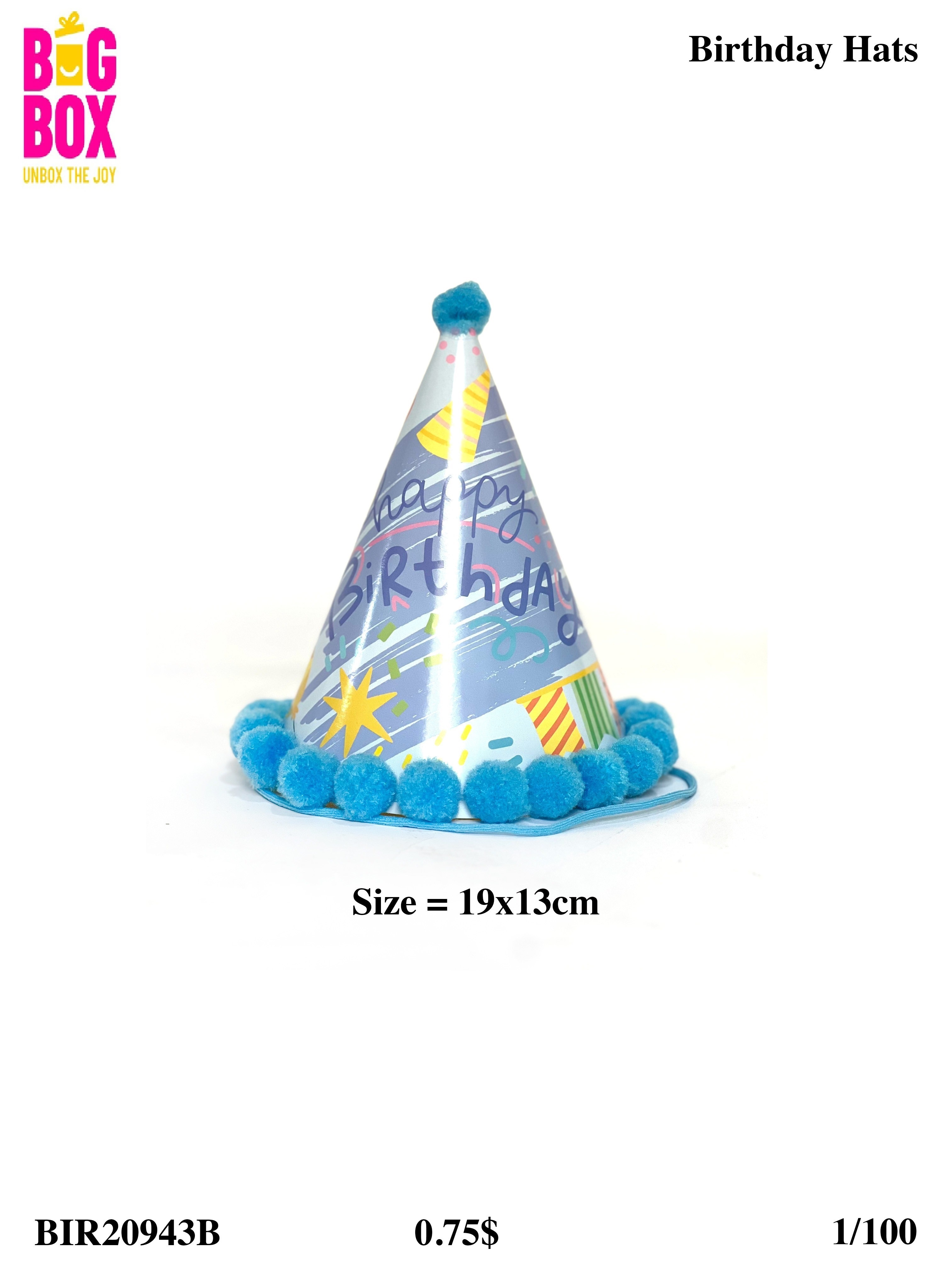 Hats BIR20943B