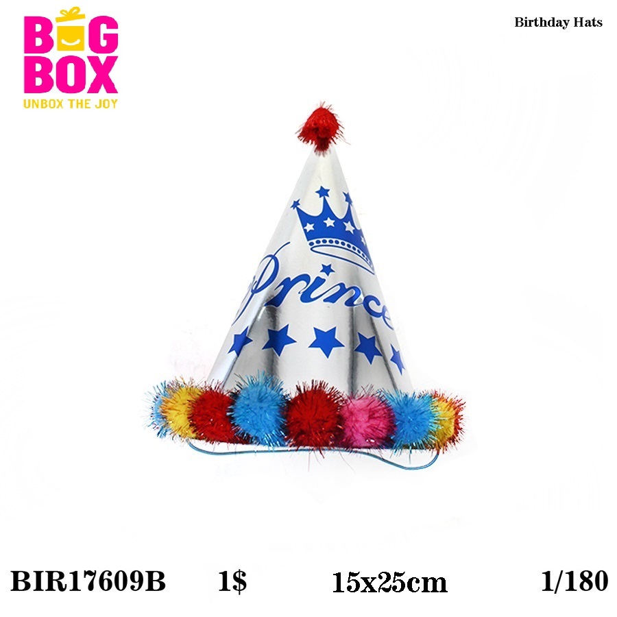 Hats BIR17609B