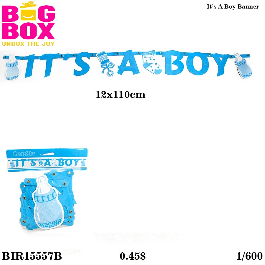 New Baby Born Theme BIR15557B