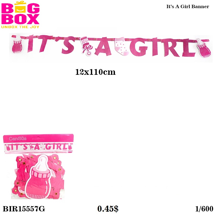 New Baby Born Theme BIR15557G