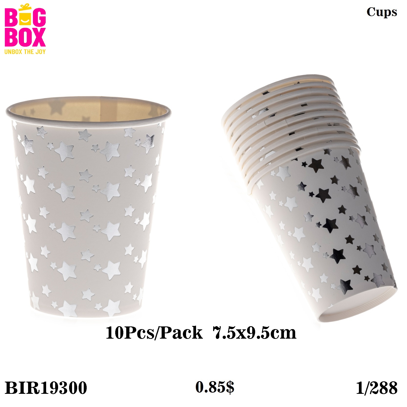 Stylish Birthday BIR19300