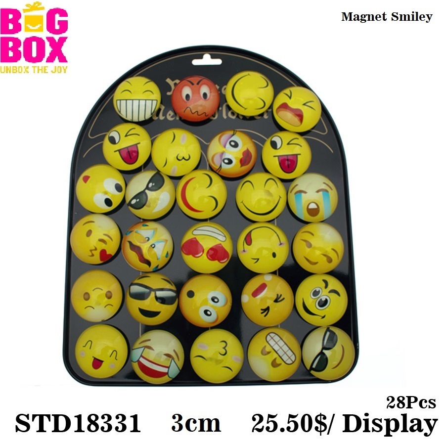 Magnet & Magic Cubes STD18331