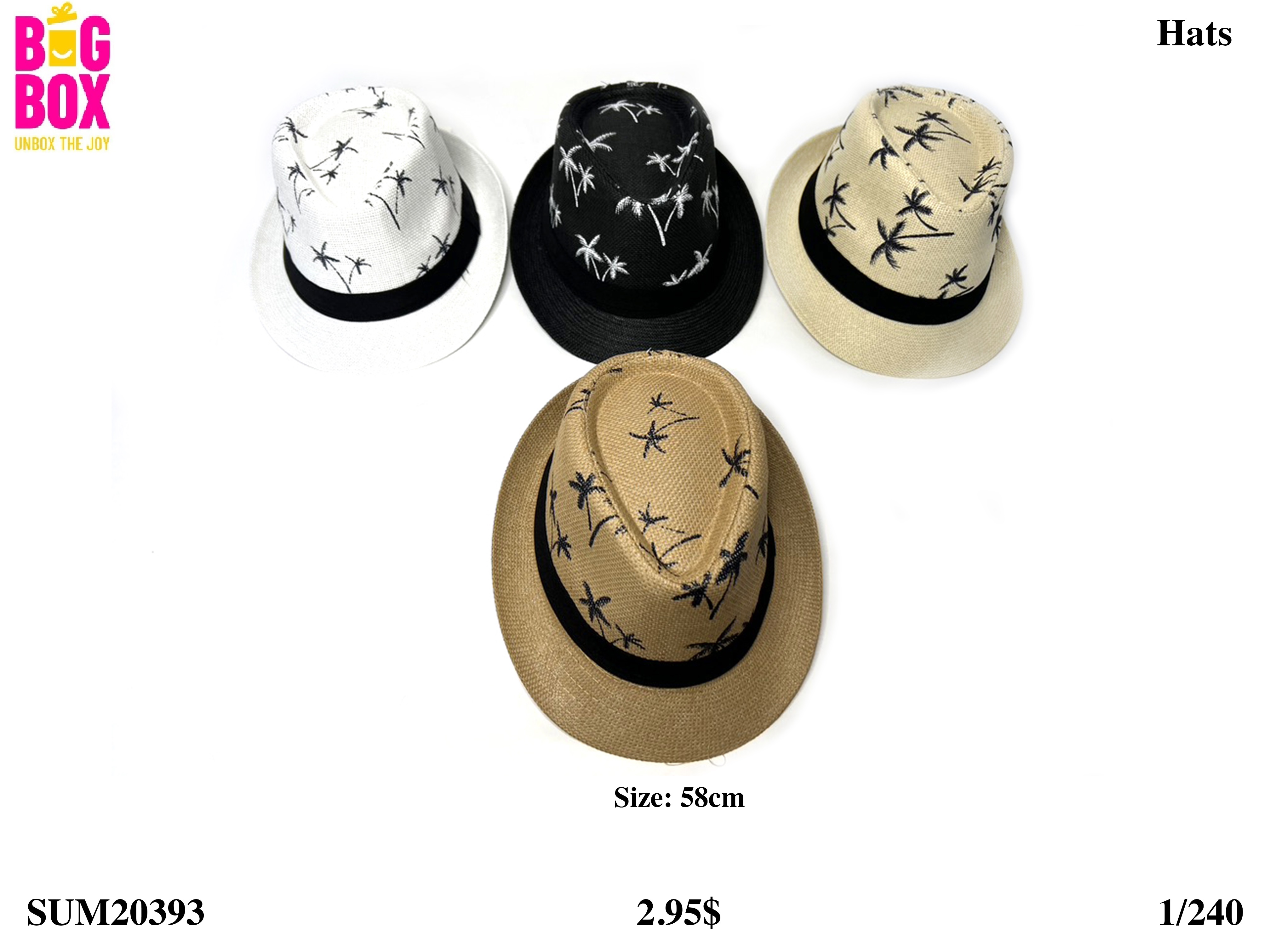 Hats For Men SUM20393