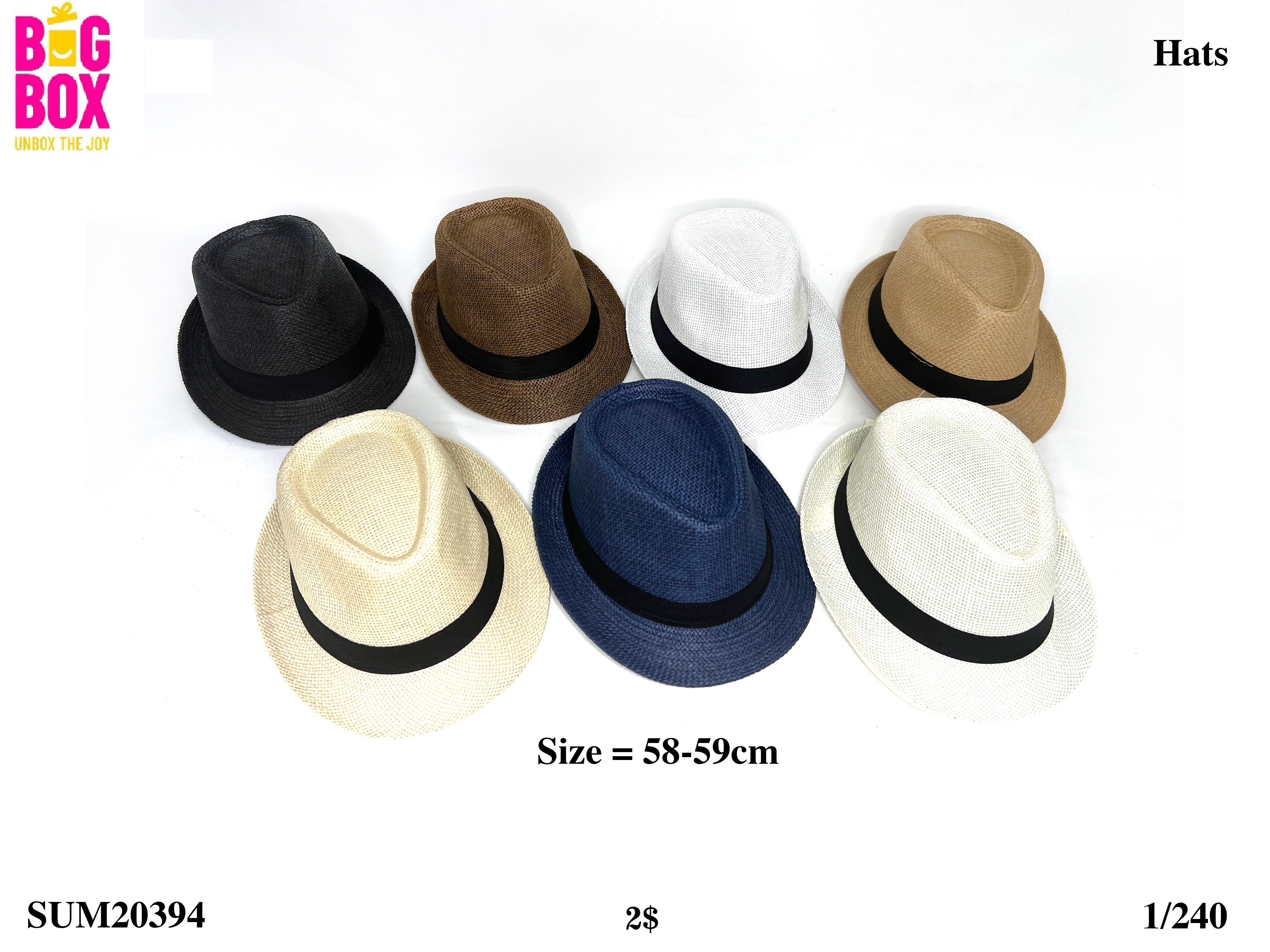Hats For Men SUM20394