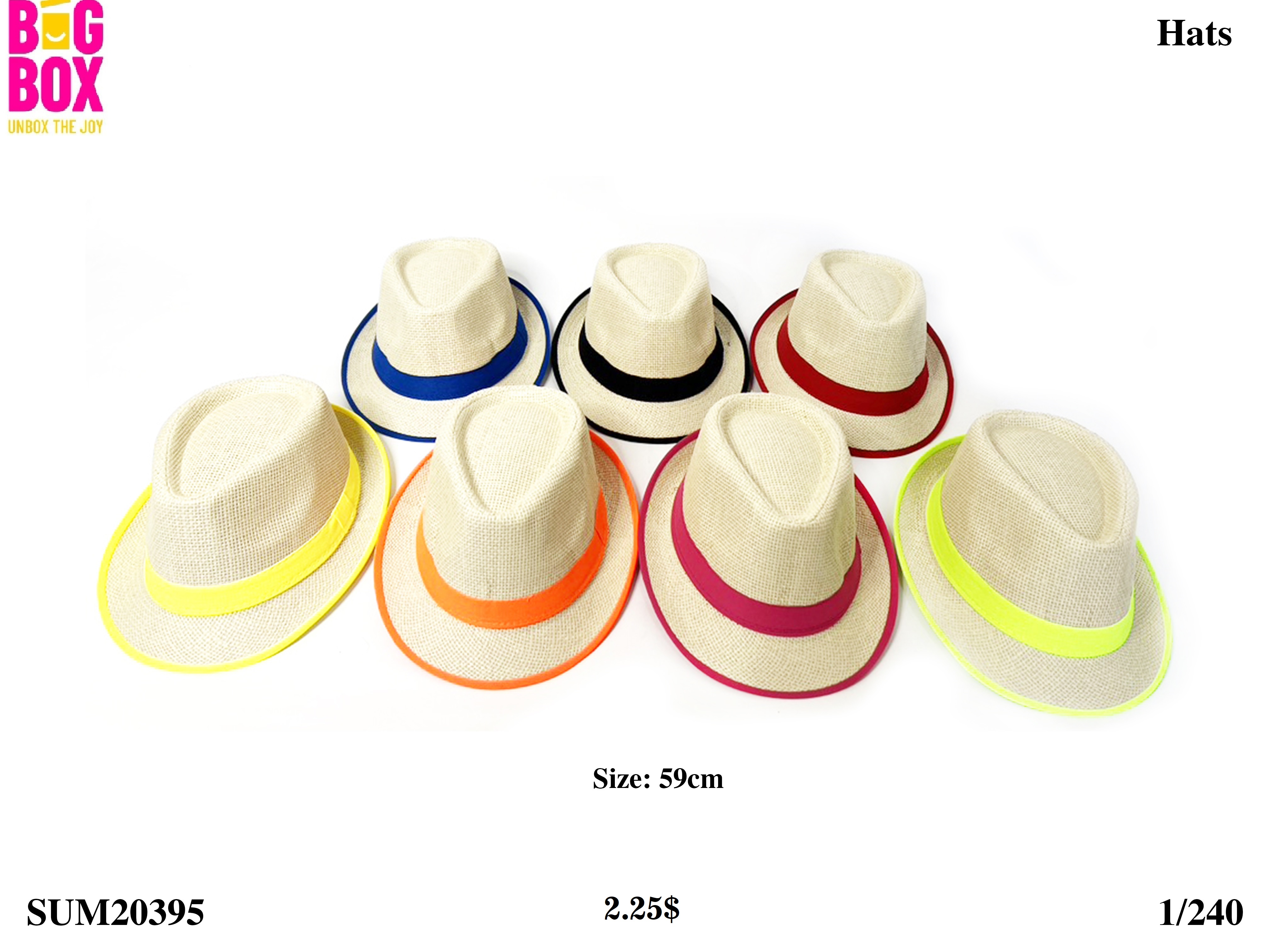 Hats For Men SUM20395