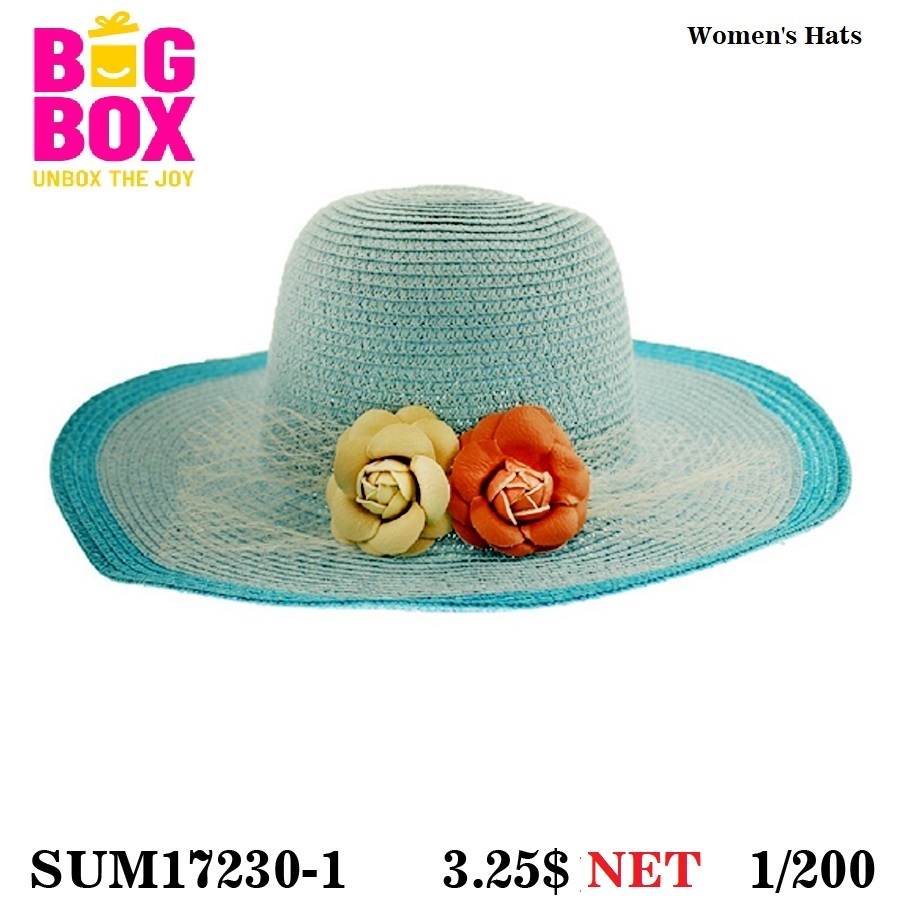 Hats For Women SUM17230-1