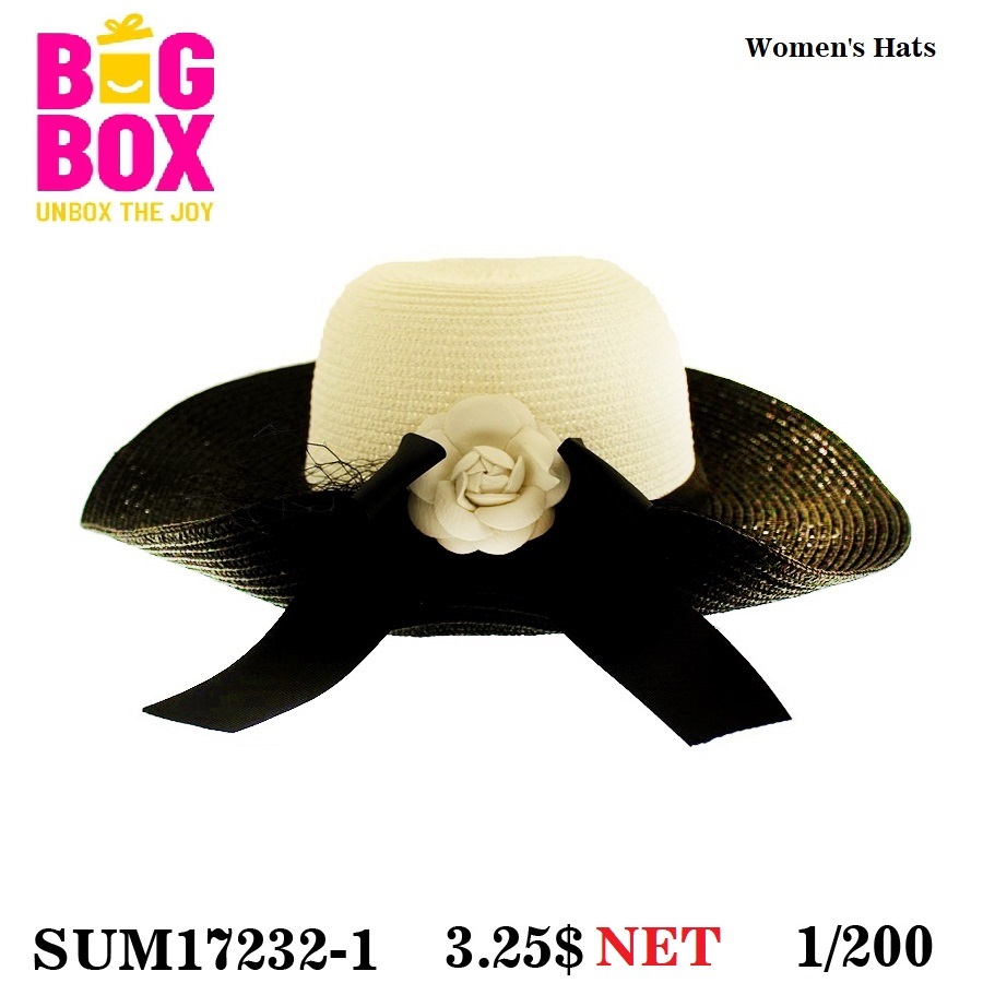 Hats For Women SUM17232-1