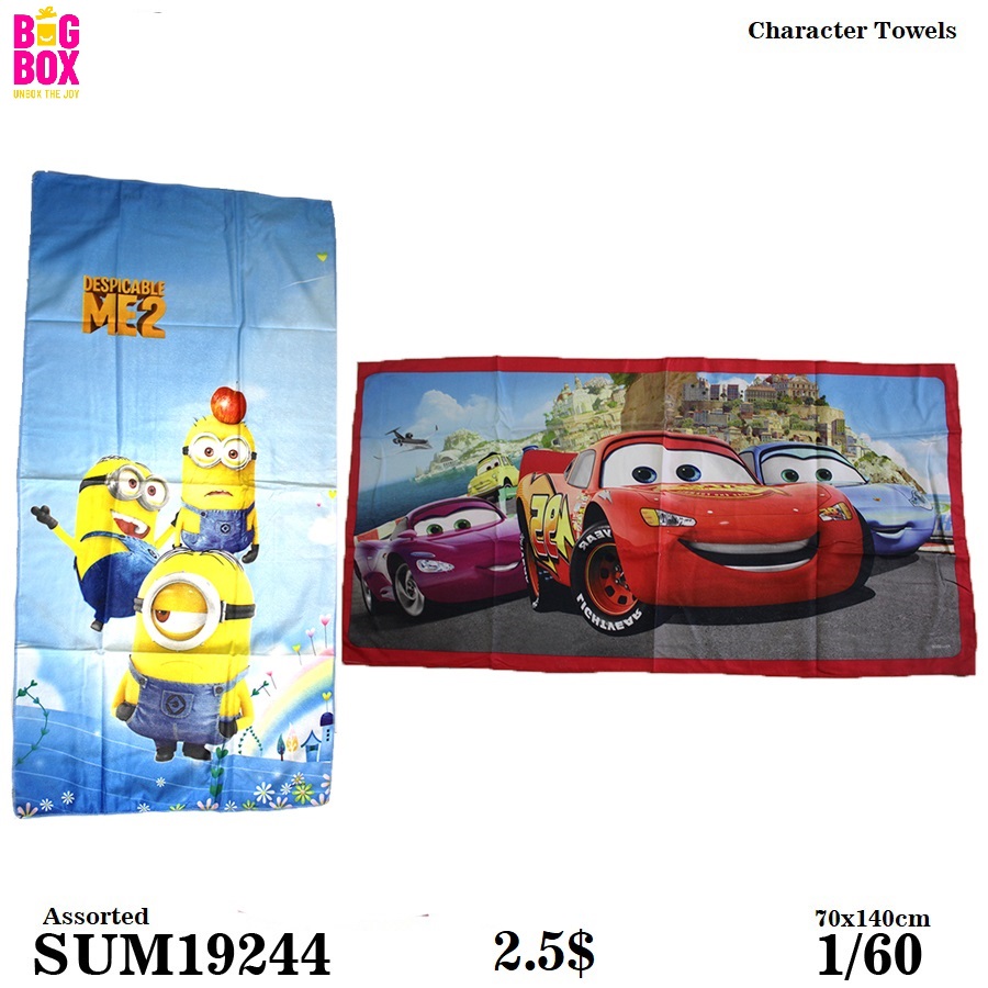 Towels SUM19244 (2)
