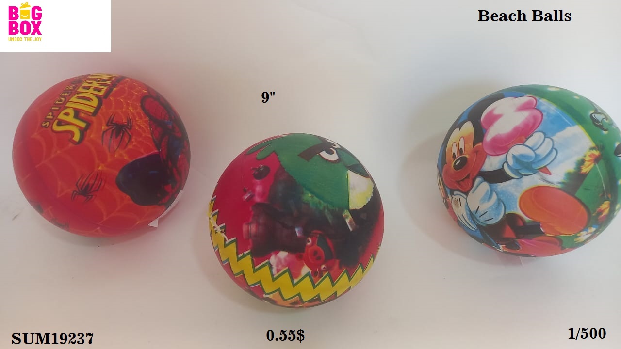 Water Guns, Balls & Toys SUM19237